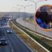 Niecodzienna sytuacja na A2. Na drodze pojawiły się... dwa cielaki