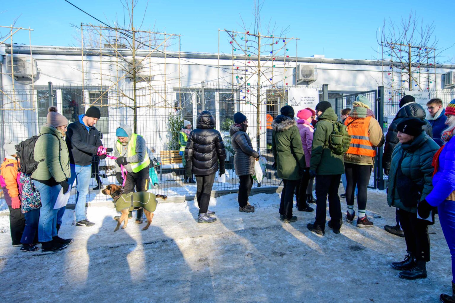 Rozgrzej Słodziaka Zimowe spacery z psami ze schroniska fot Sebastian Szwajkowski_1 Rozgrzej Slodziaka Zimowe spacery z psami ze schroniska fot Sebastian Szwajkowski 1