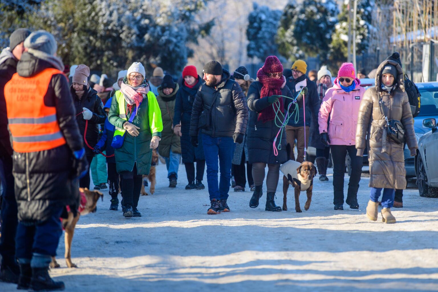 Rozgrzej Słodziaka Zimowe spacery z psami ze schroniska fot Sebastian Szwajkowski_21 Rozgrzej Slodziaka Zimowe spacery z psami ze schroniska fot Sebastian Szwajkowski 21