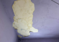 a0d88ad2 6ba1 4cbd a66b fe509dff1114 scaled