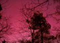 aaa
