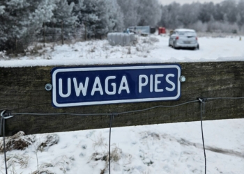 To jest temat. Bez obowiązku rejestracji! Nielegalne hodowle psów [PODCAST]