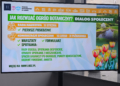 Miasto ogłasza konsultacje ws. zmian w Ogrodzie Botanicznym w Łodzi, fot. Seweryn Potentas