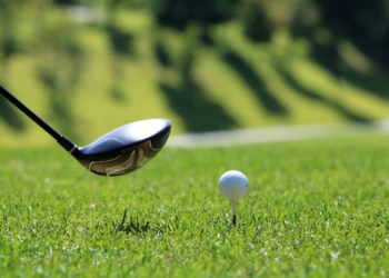Pole golfowe na łódzkim Zdrowiu?