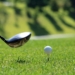 Pole golfowe na łódzkim Zdrowiu?