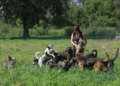 image00011 2