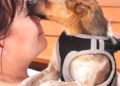 image00012 1