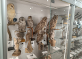 1000013952 scaled