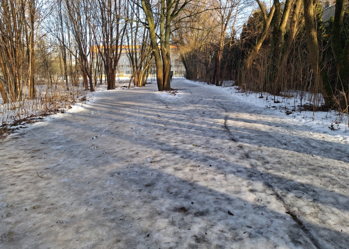 Pogoda na piątek | Na plusie z przelotnymi opadami deszczu [PROGNOZA]