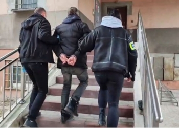 Znęcał się nad partnerką, zabił jej psa. Areszt dla 37-latka