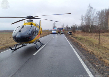 Wypadek w gminie Bolimów. Samochód osobowy uderzył w łosia, LPR w akcji