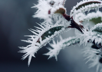 Jest zimno, będzie jeszcze zimniej. W nocy nawet -21°C