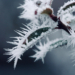 Jest zimno, będzie jeszcze zimniej. W nocy nawet -21°C 16 Jest zimno, będzie jeszcze zimniej. W nocy nawet -21°C