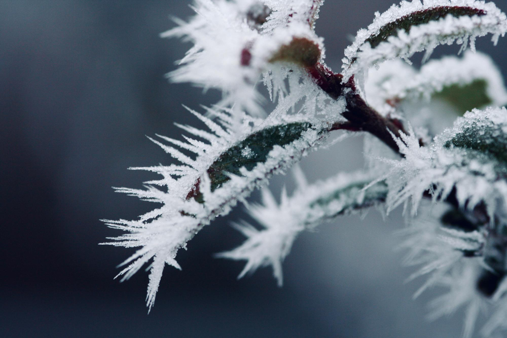 Jest zimno, będzie jeszcze zimniej. W nocy nawet -21°C