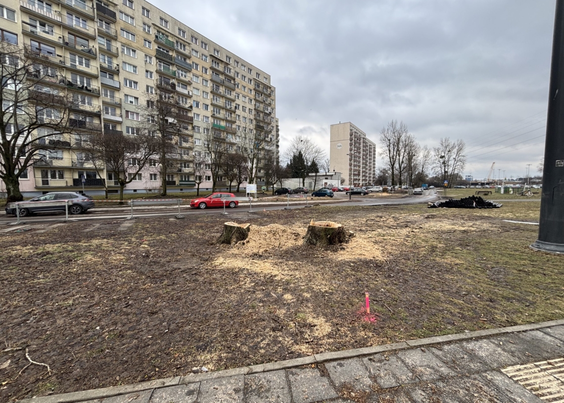 Wycięli drzewa na Karolewie. Mieszkańcy zaniepokojeni