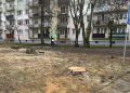 Z Łodzi zniknęło 1000 drzew. Większość była w dobrym stanie 5 Z Łodzi zniknęło 1000 drzew. Większość była w dobrym stanie
