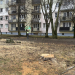 Z Łodzi zniknęło 1000 drzew. Większość była w dobrym stanie