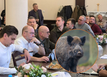 Spór o walkę z ASF w powiecie piotrkowskim. Rolnicy biją na alarm