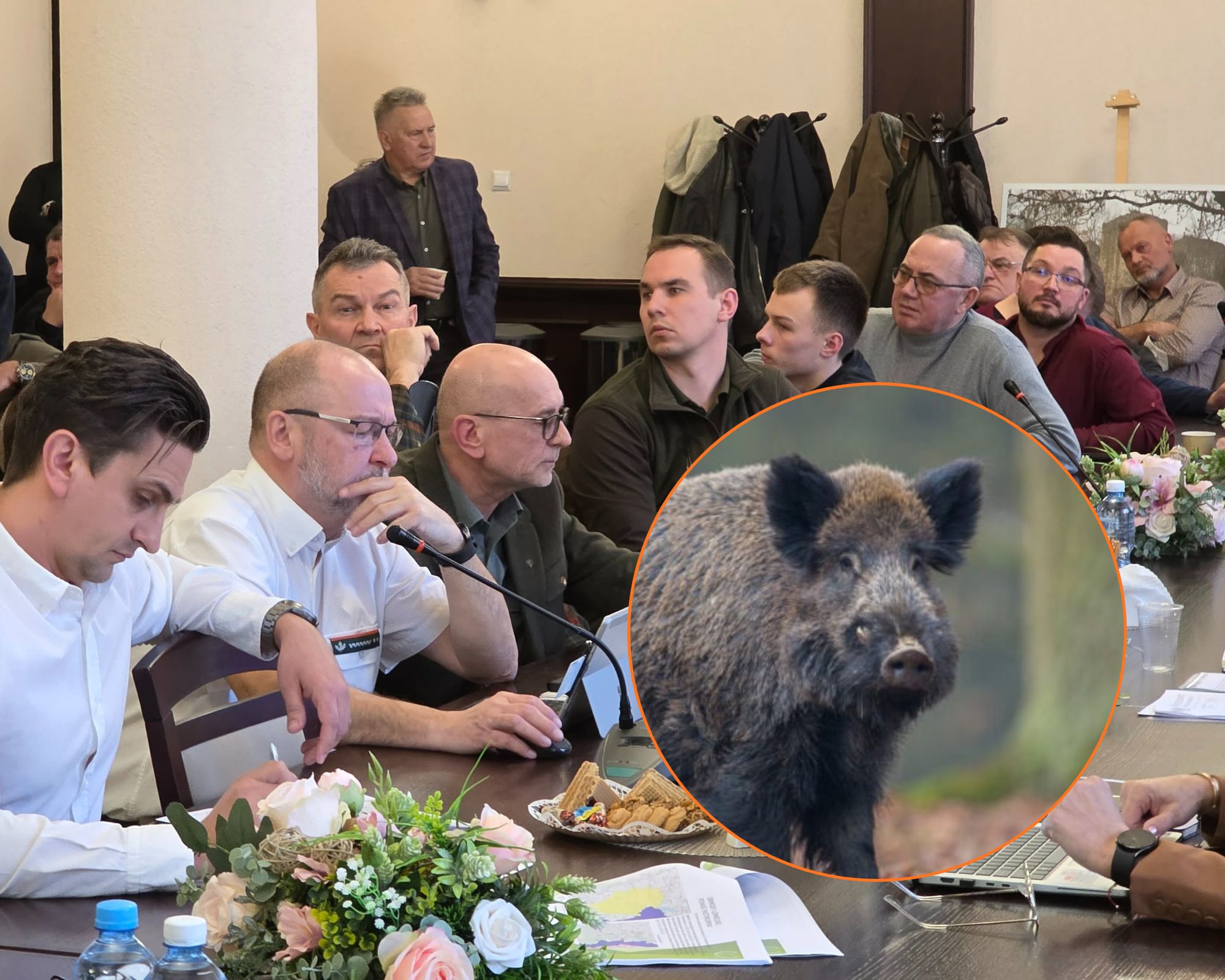 Spór o walkę z ASF w powiecie piotrkowskim. Rolnicy biją na alarm