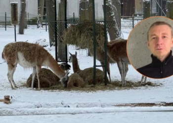 Zima w Orientarium ZOO Łódź
