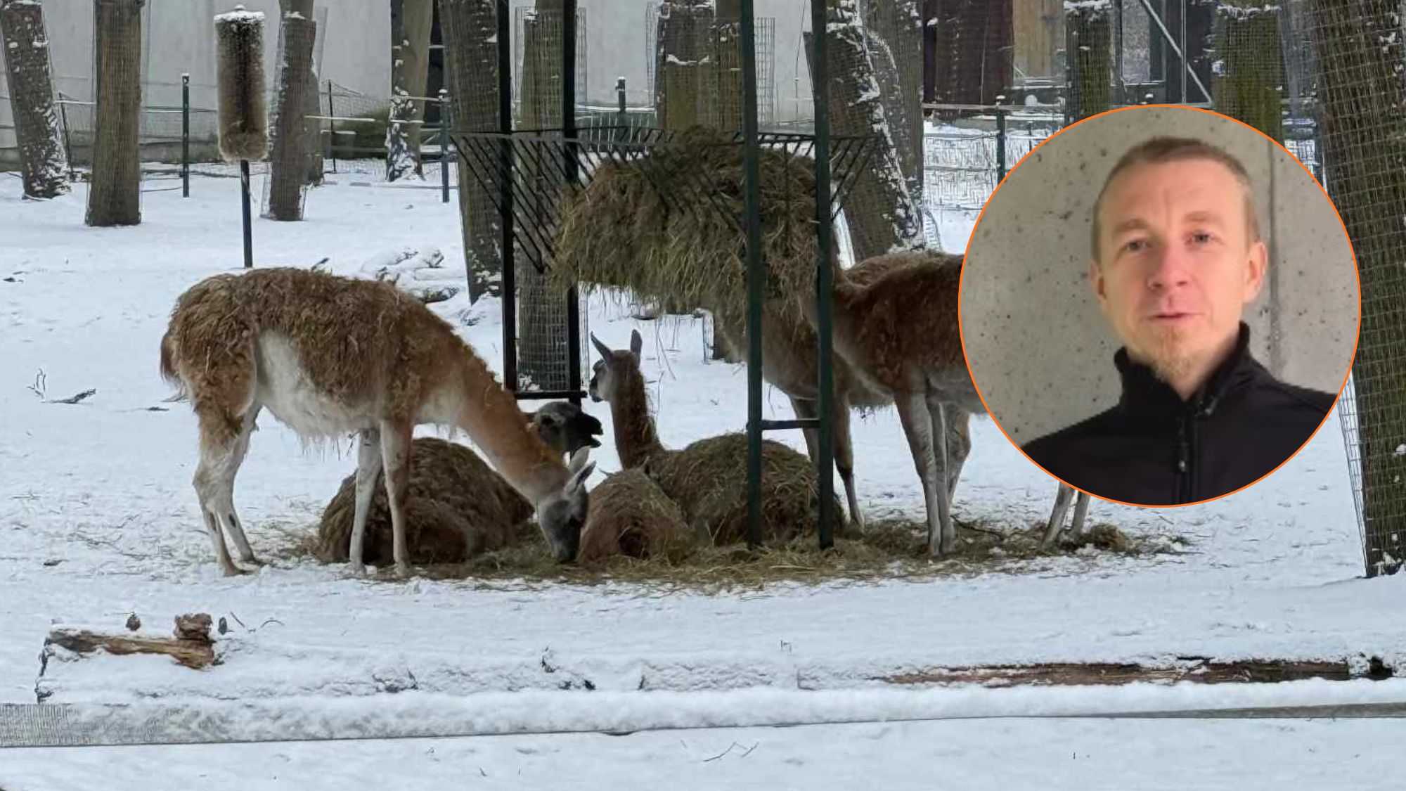 Zima w Orientarium ZOO Łódź