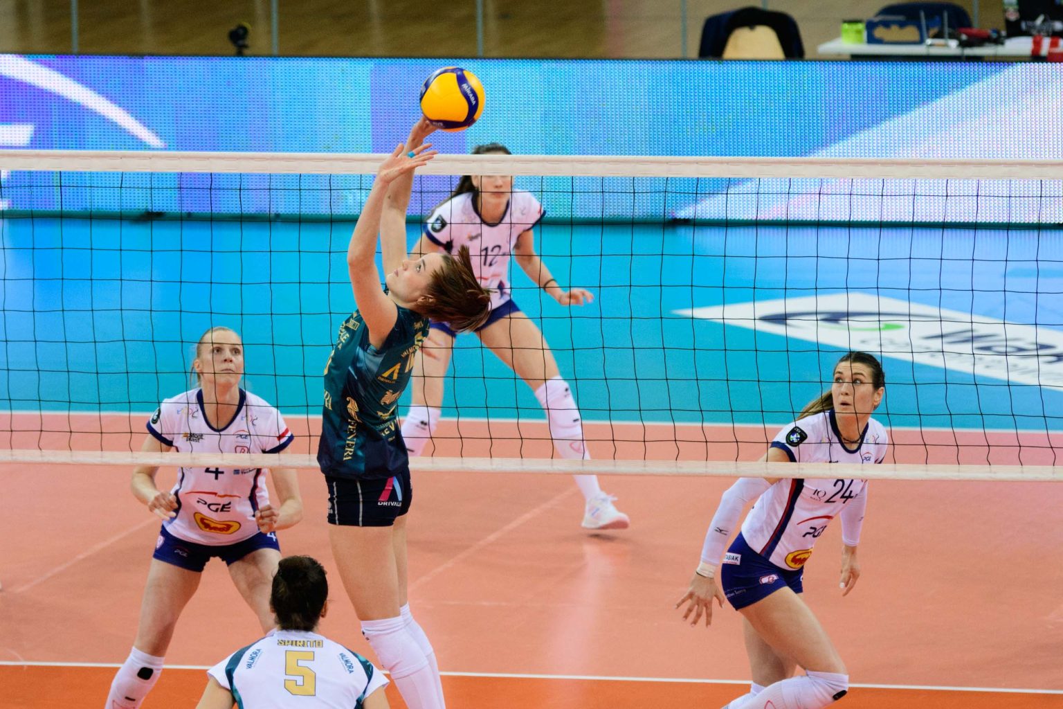 Puchar CEV. PGE Budowlani Lodz – Chieri 76 fot Sebastian Szwajkowski 1