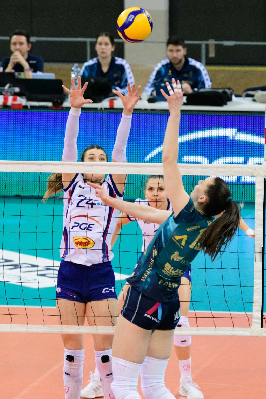Puchar CEV. PGE Budowlani Lodz – Chieri 76 fot Sebastian Szwajkowski 2