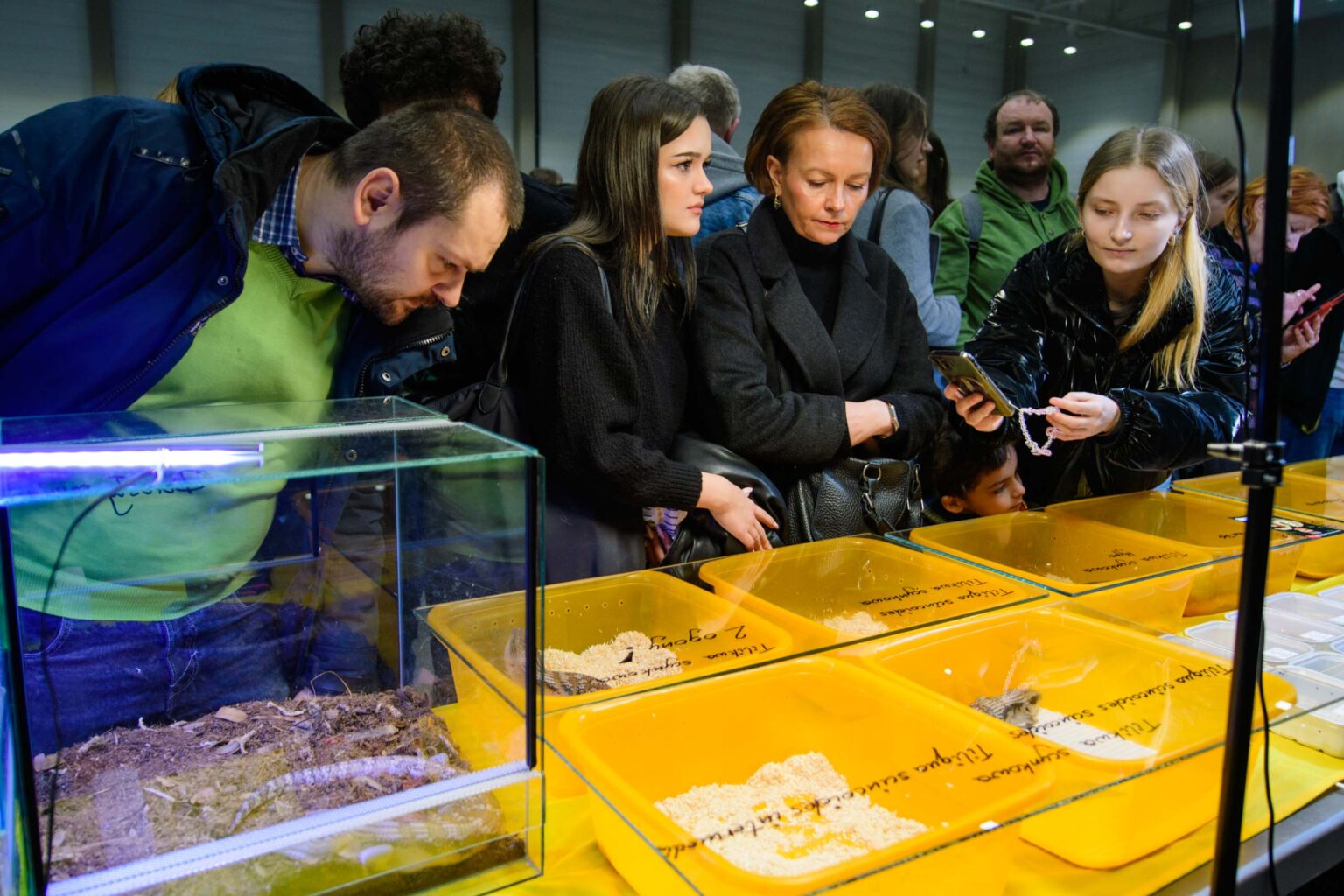 Targi zwierzat egzotycznych w hali EXPo fot Sebastian Szwajkowski