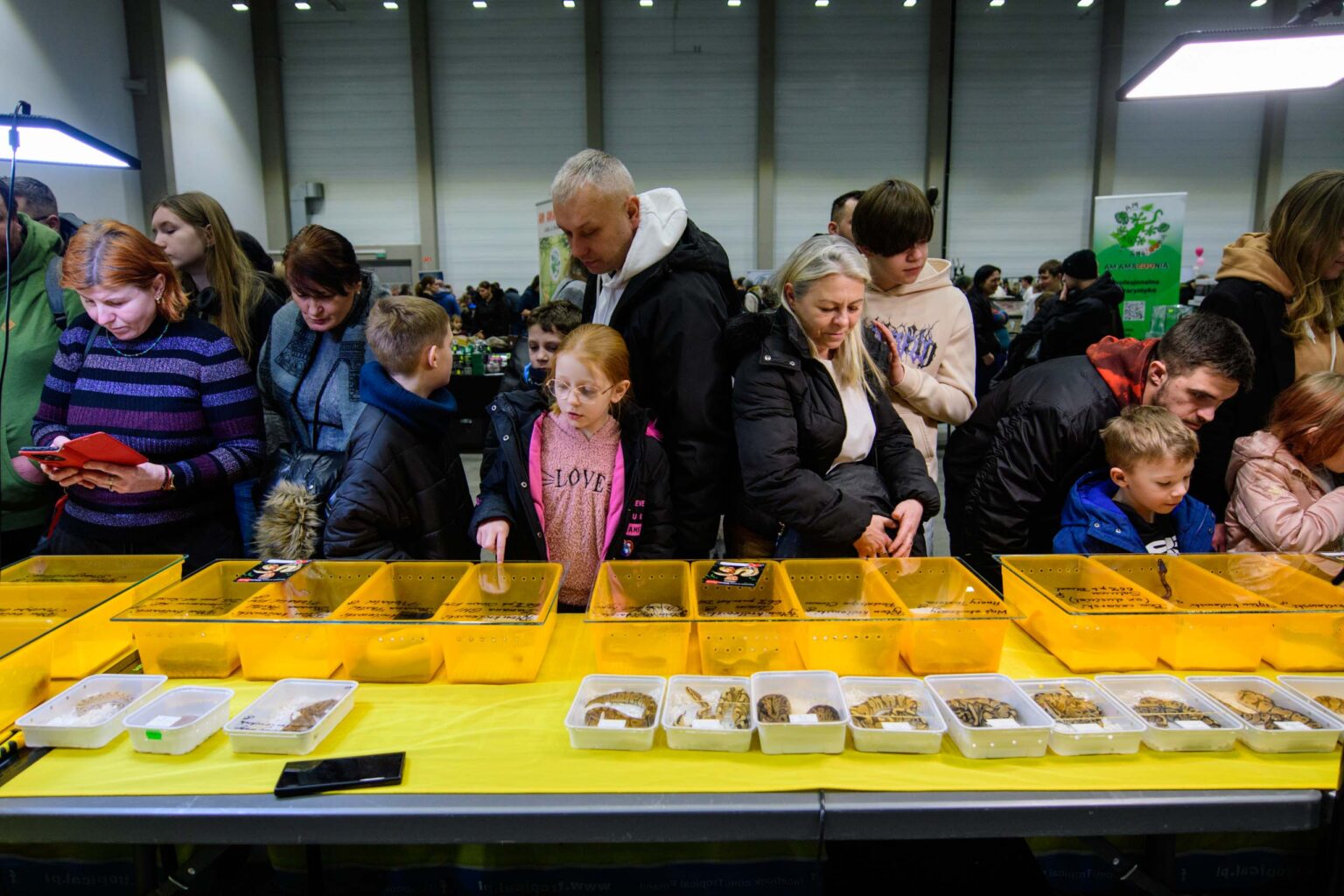 Targi zwierzat egzotycznych w hali EXPo fot Sebastian Szwajkowski 1