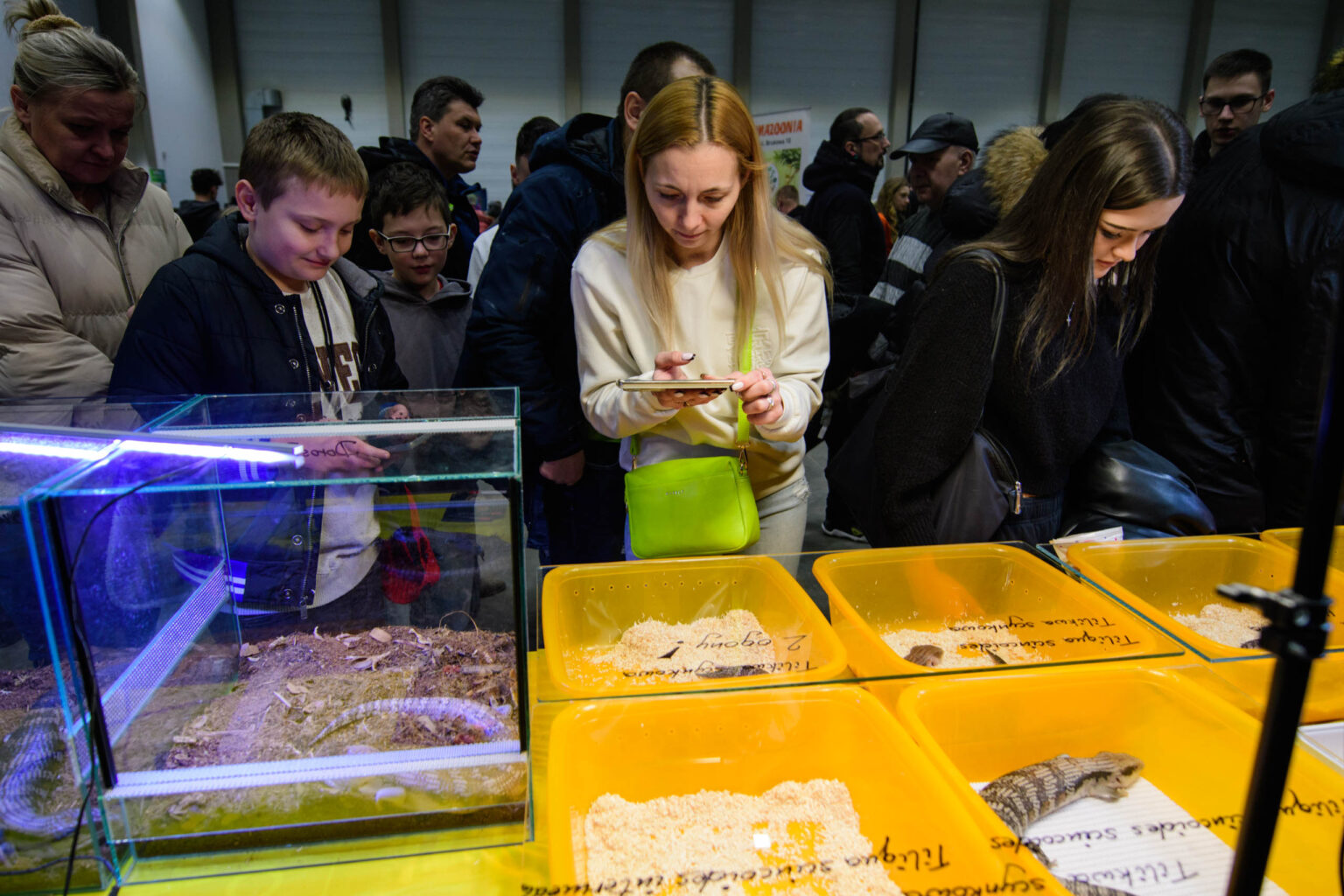 Targi zwierzat egzotycznych w hali EXPo fot Sebastian Szwajkowski 3