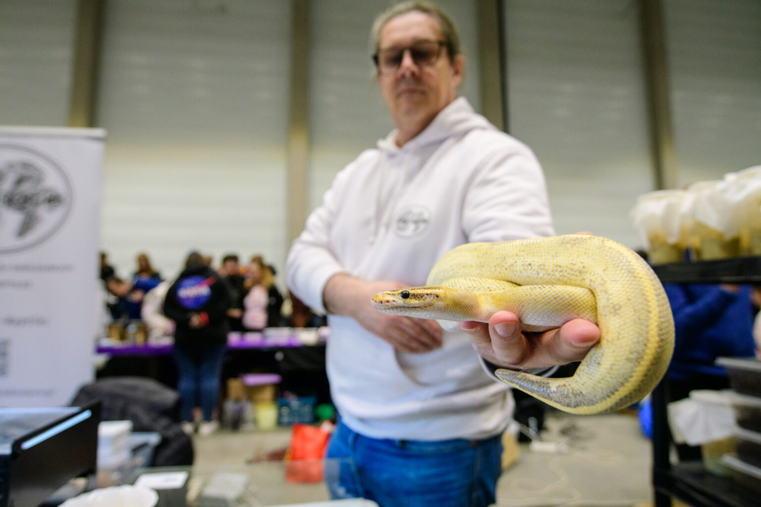 Targi zwierzat egzotycznych w hali EXPo fot Sebastian Szwajkowski 7