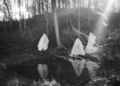 Trupa Trupa w Studiu im. Henryka Debicha. Jak zdobyć bilety? 8 Trupa Trupa author Adam Plucinski ghosts 2