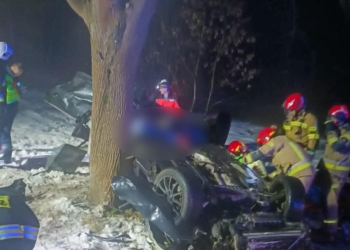 Śmiertelny wypadek. Samochód uderzył w drzewo i dachował