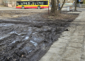 Zamiast zieleni rozjechane trawniki. Problem w całej Łodzi