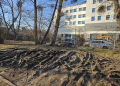 Zamiast zieleni rozjechane trawniki. Problem w całej Łodzi