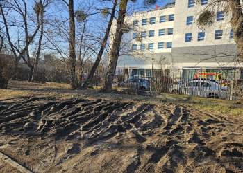 Zamiast zieleni rozjechane trawniki. Problem w całej Łodzi
