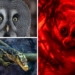 Nowi lokatorzy łódzkiego Orientarium. Maluch, łowca, waran i nocny akrobata