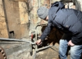 Nie mają wody od tygodnia. Mieszkańcom Górnej musi wystarczyć 25 litrów w baniakach