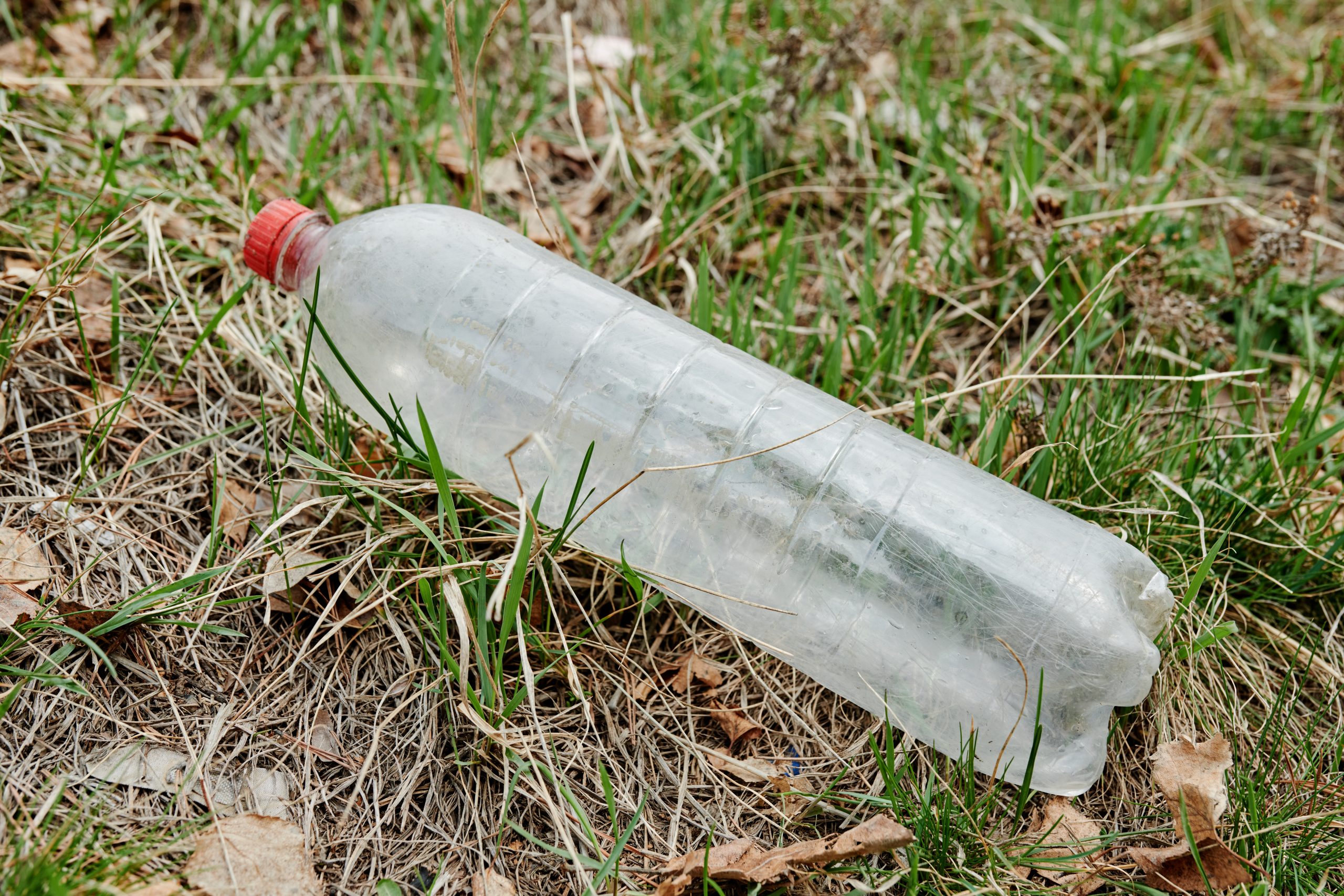 Stopniał śnieg, a do pozimowego sprzątania miasta jeszcze chwila. Na ulicach Łodzi nie brakuje śmieci