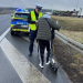 Hulajnogą jechał po S8. Spieszył się... na zabieg kosmetyczny
