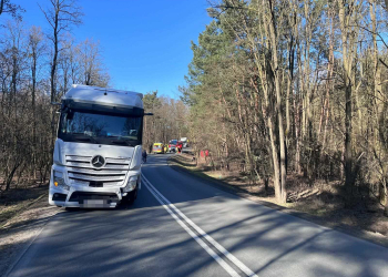 Śmiertelny wypadek na DW480 w powiecie sieradzkim