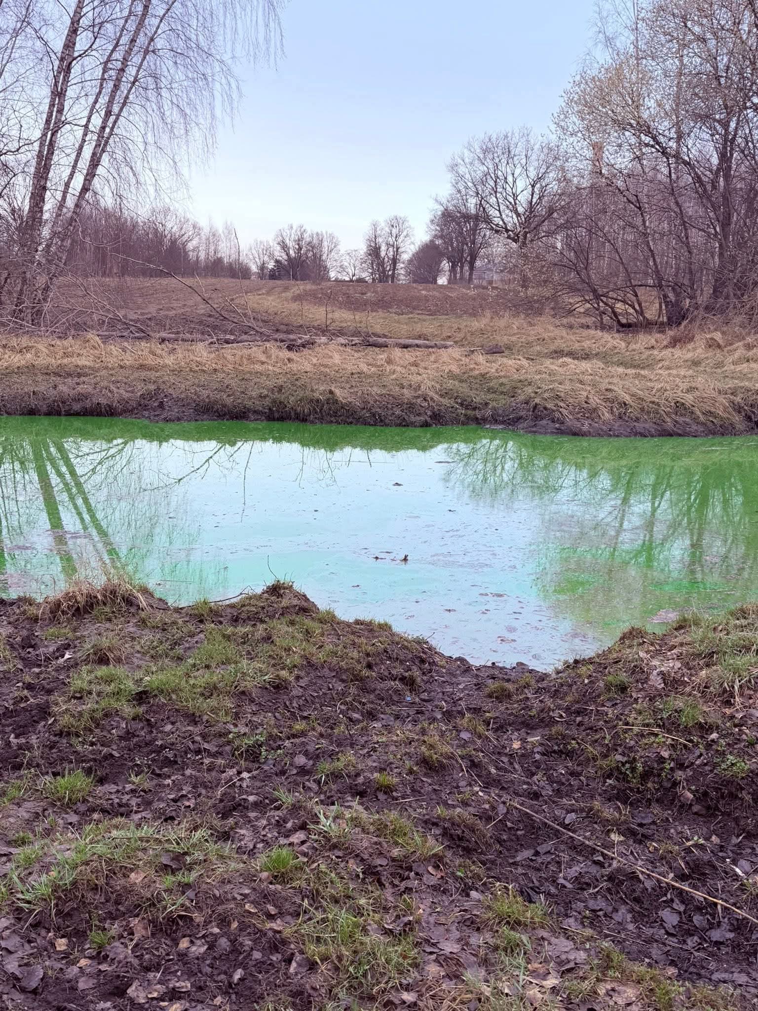 Zielona trucizna w rzece Olechówce
