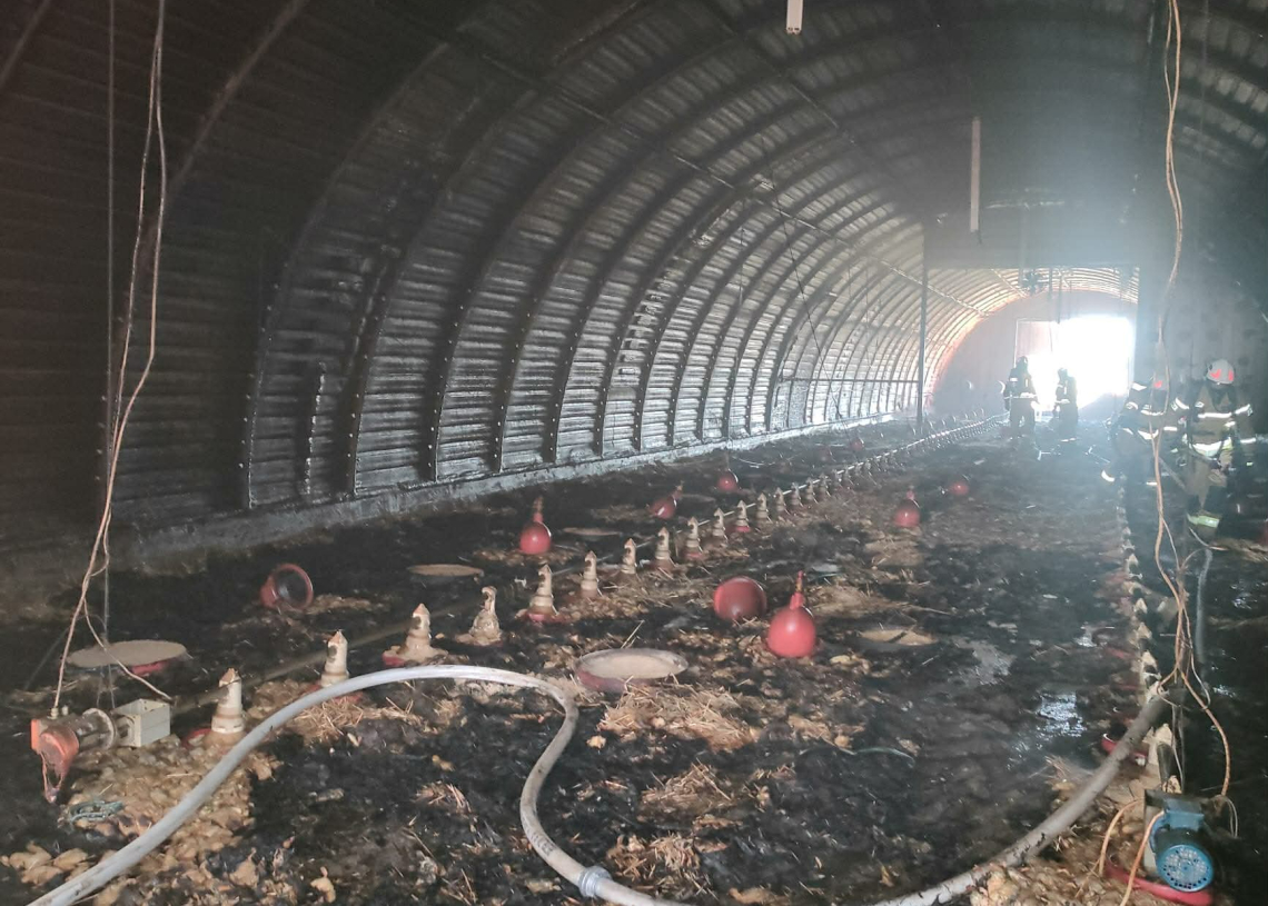 Wielki pożar kurnika pod Brzezinami z tysiącami ptaków w środku