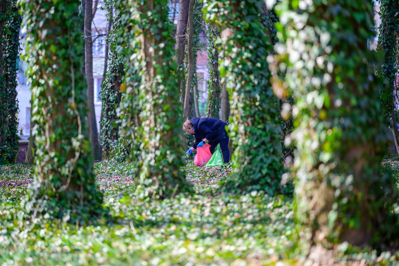 Galante Sprzątanie w Łodzi fot Sebastian Szwajkowski_6 Galante Sprzatanie w Lodzi fot Sebastian Szwajkowski 6