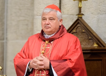 Standaryzacja gadżetów firmowych a spójność komunikacji wizualnej