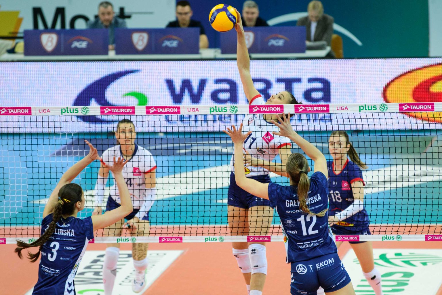 PGE Budowlani vs Moya Radomka Radom fot Sebastian Szwajkowski (5) PGE Budowlani vs Moya Radomka Radom fot Sebastian Szwajkowski 5