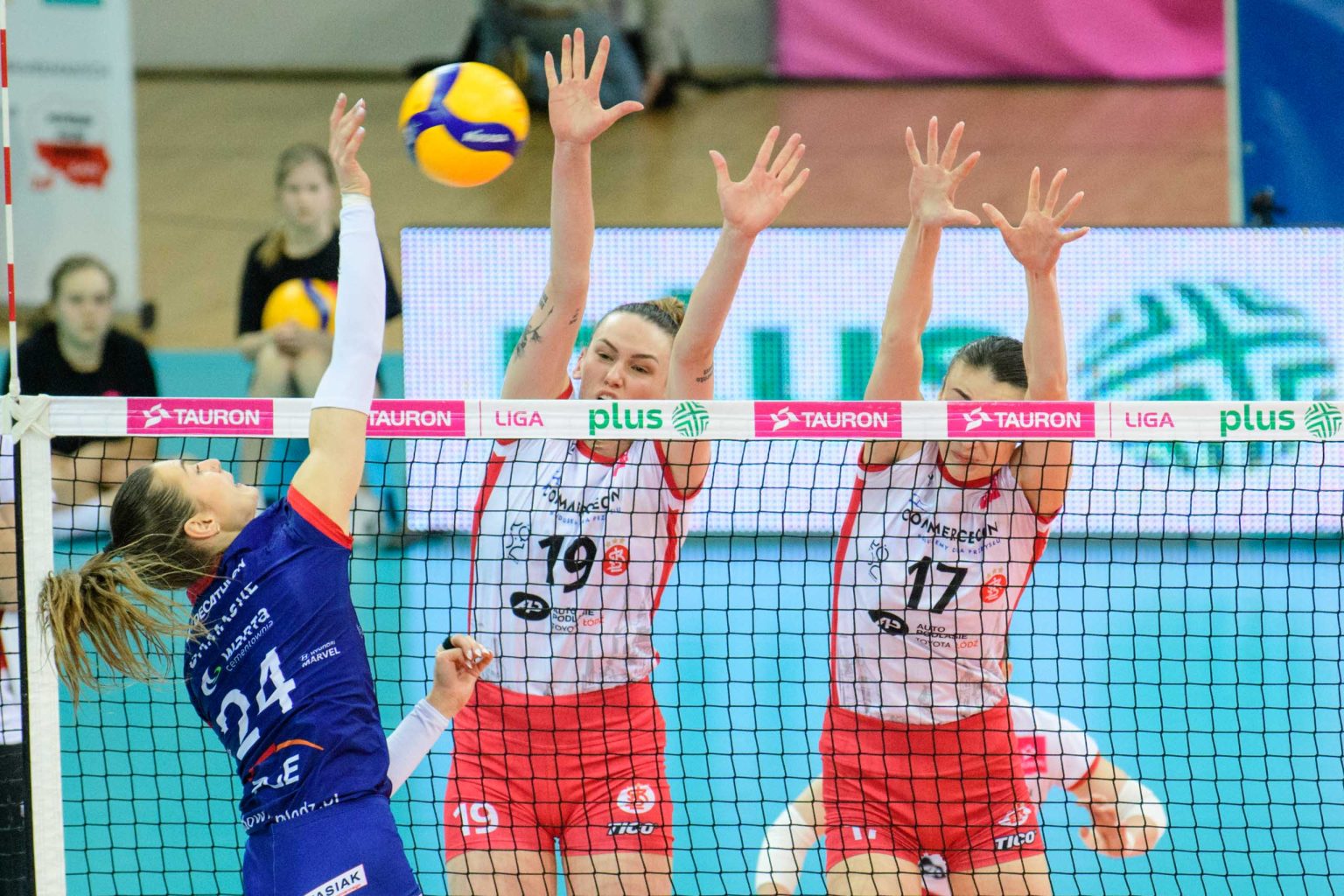 Siatkarskie derby Łodzi ŁKS Commercecon vs PGE Budowlani fot Sebastian Szwajkowski_10 Siatkarskie derby Lodzi LKS Commercecon vs PGE Budowlani fot Sebastian Szwajkowski 10