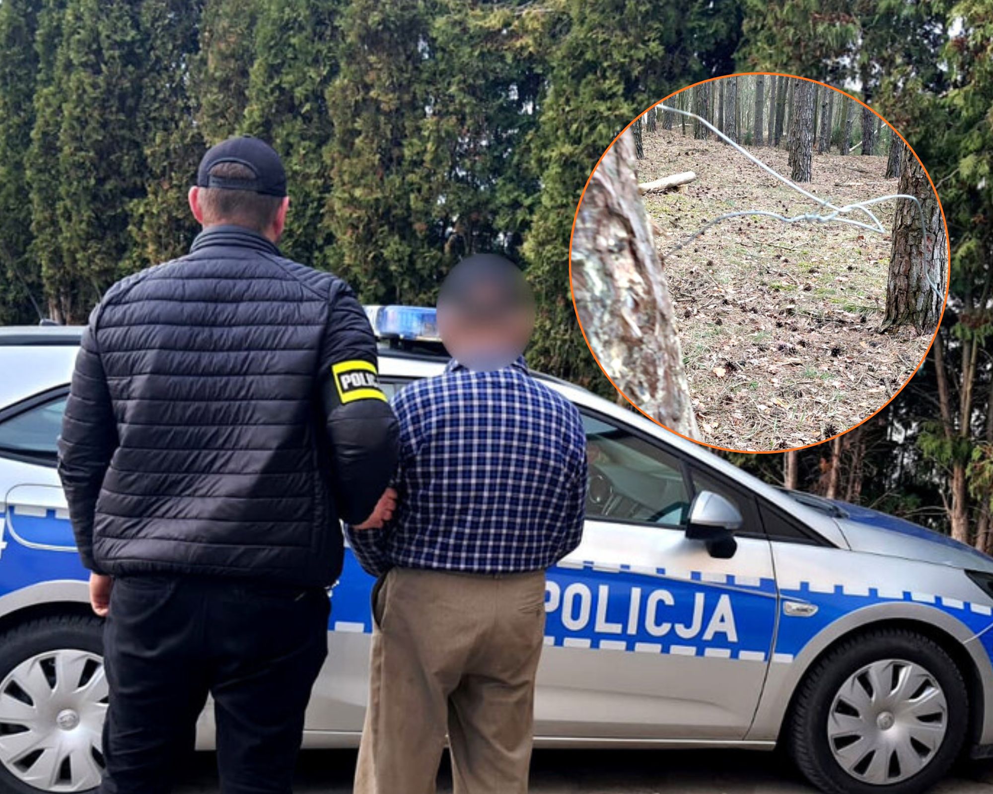 Kłusownik z Wolborza zatrzymany. 76-latek rozkładał w lesie stalowe wnyki