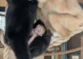 Baby boom w ZOO Borysew