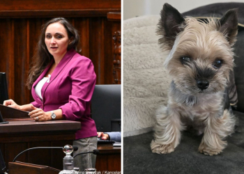 Posłanka z Łodzi demaskuje pseudohodowle